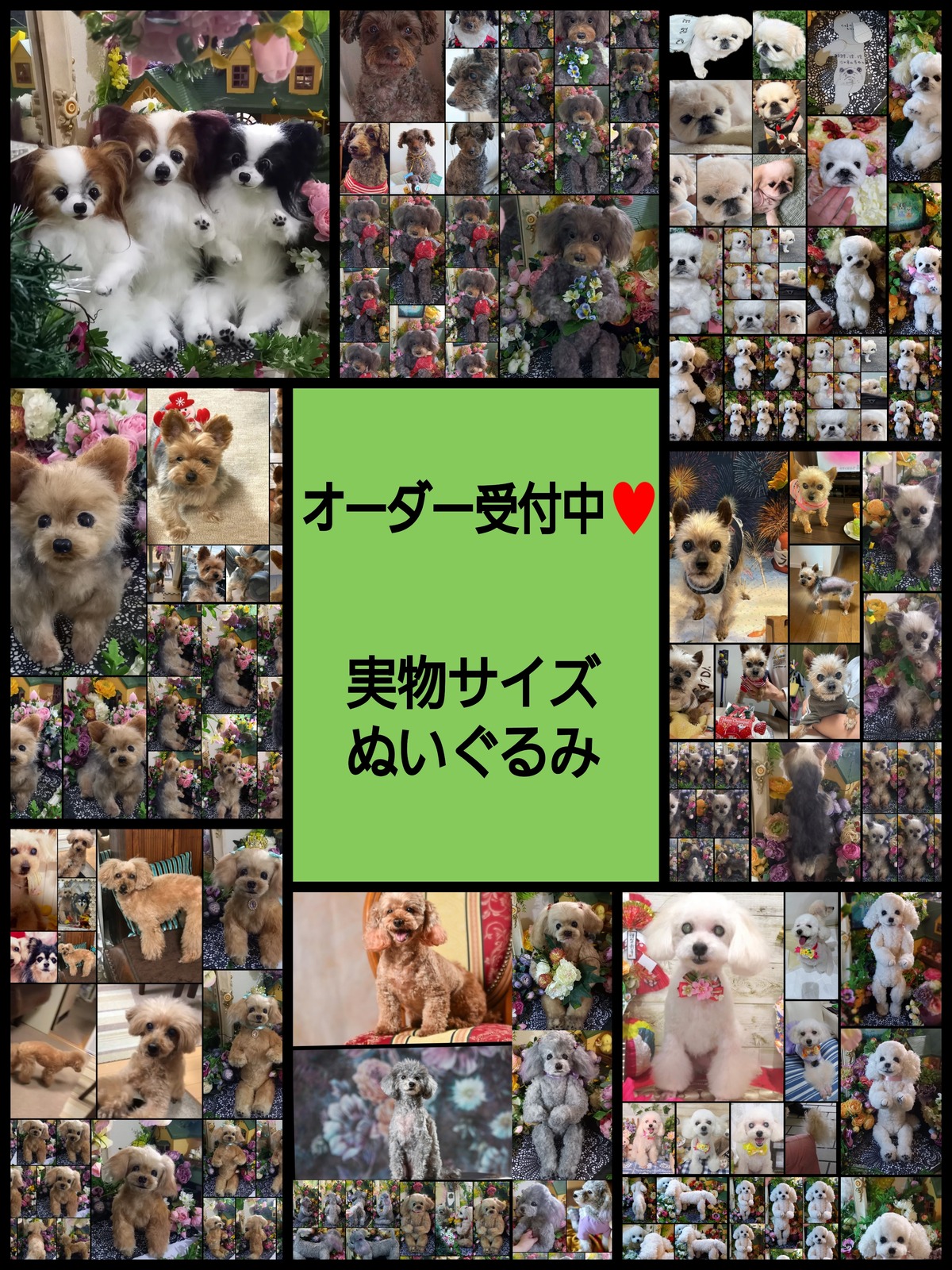 愛犬 オーダー♥️ うちの子 実物サイズ 等身大 ぬいぐるみ 羊毛 