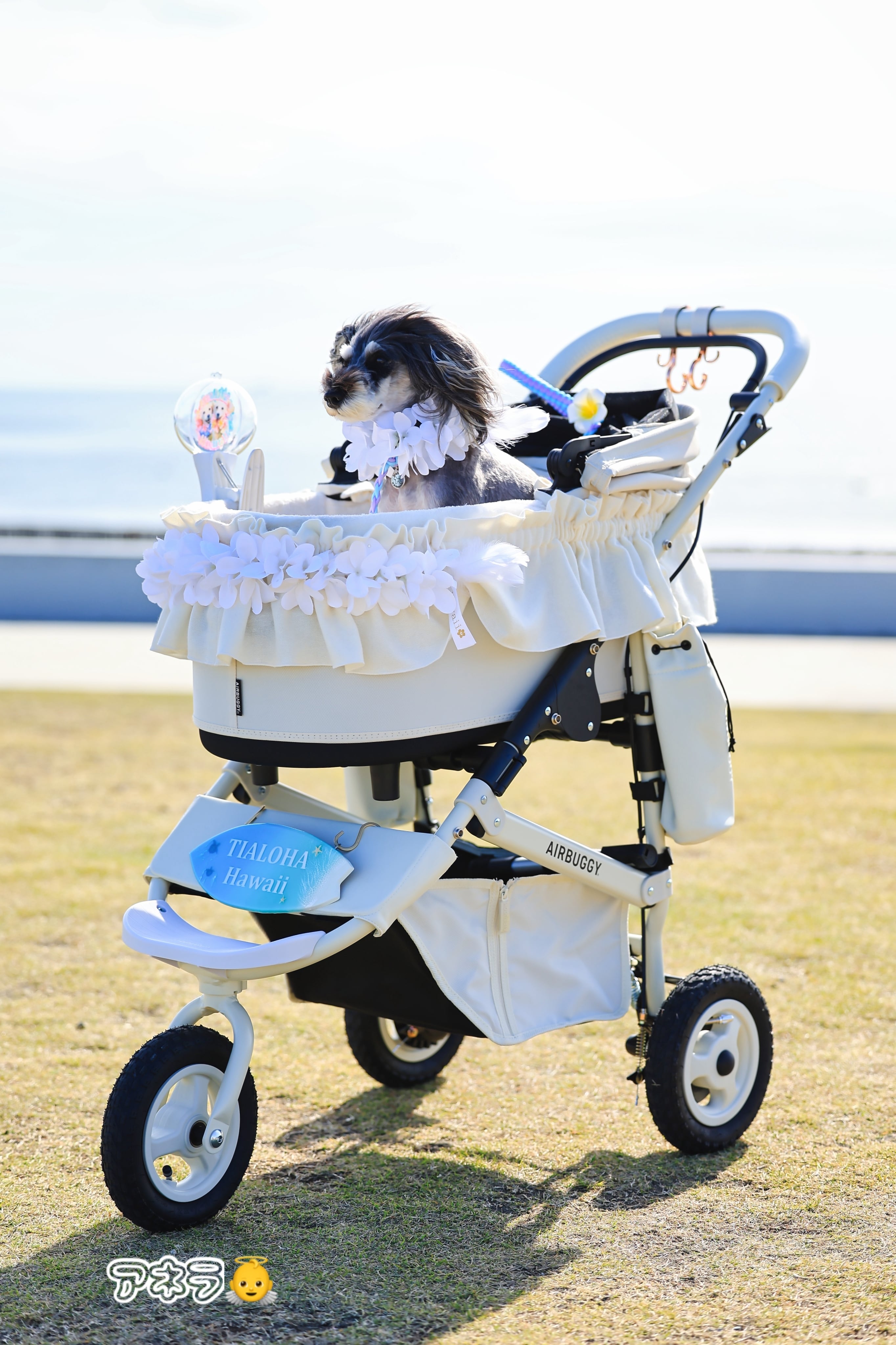 バギーカートレイ