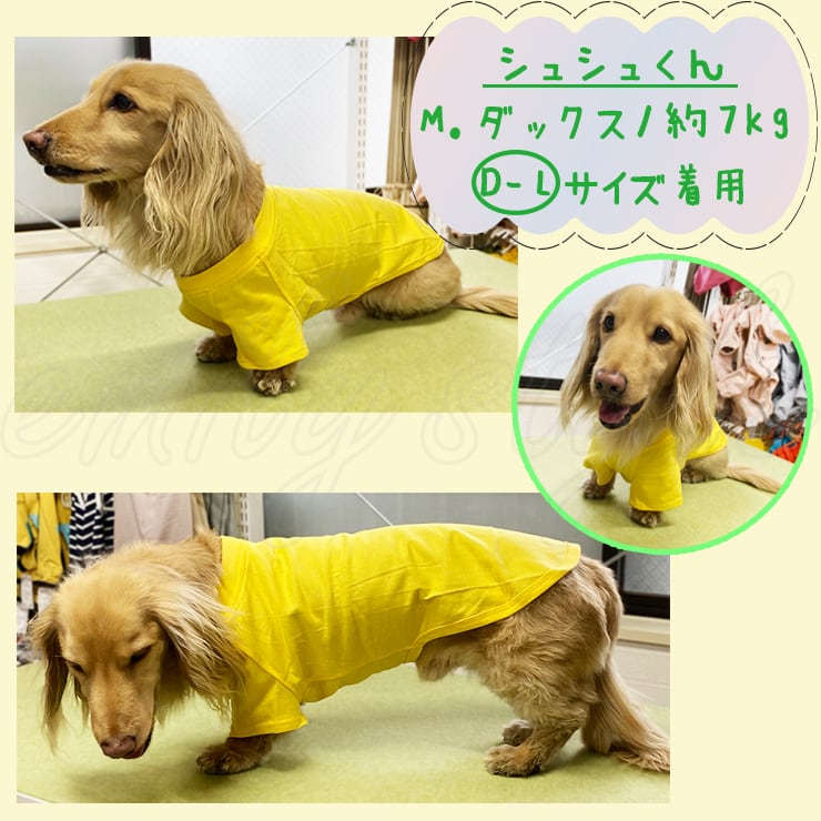 ペット用品　ペット洋服　Tシャツ　犬猫兼用　犬服　可愛い