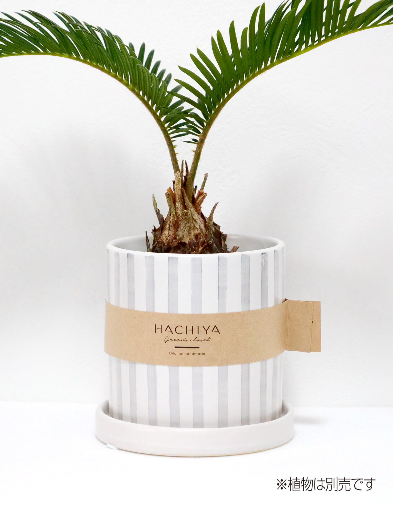 <陶器鉢>Stripe Mサイズ