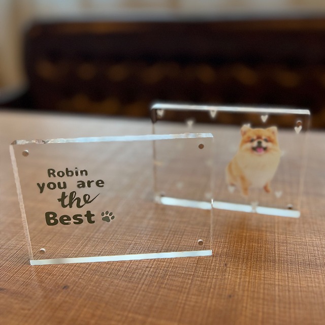 うちの子フォトフレーム【Mサイズ】