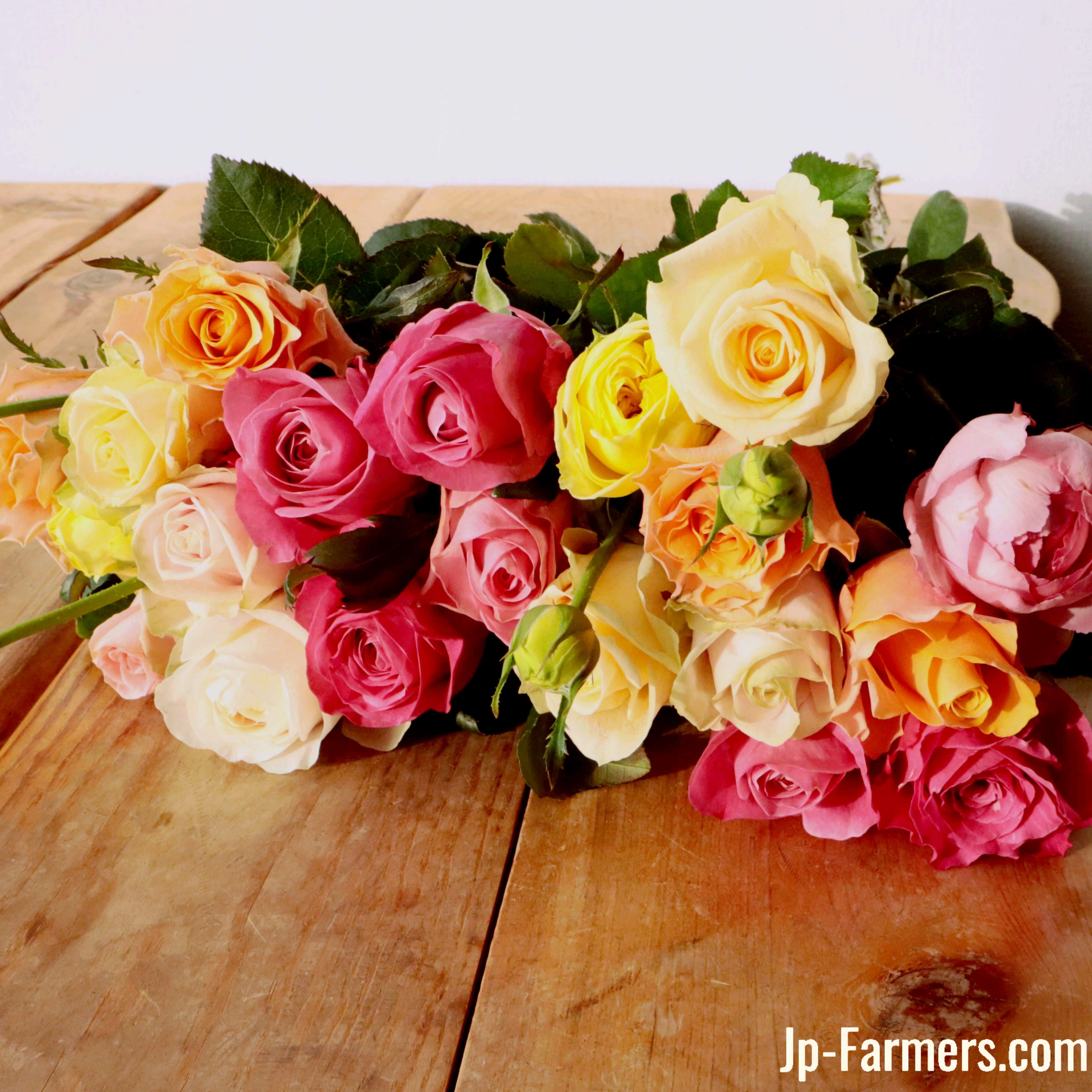 文学作品　20種類　バラ販売可 バラエティ豊富なバラを楽しめる！バラアソート 20本 | 新鮮お花問屋