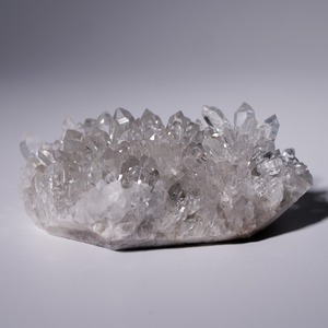 菊花水晶 クリアクォーツ / 原石 標本