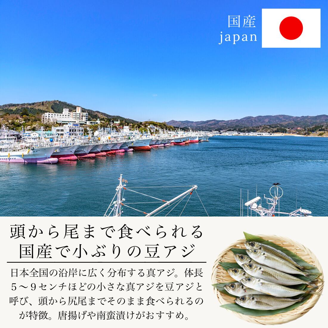 無添加 国産 天然 無塩 豆あじ 500g(約70~100尾入) 冷凍 アジ 鯵 頭