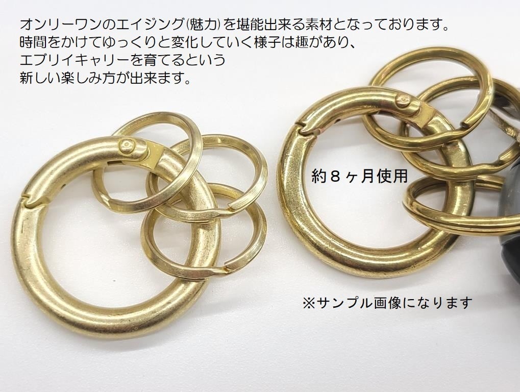 k116 》 ◇ Patina gold Set up Connect ◇ LE Hook Carabiner SWISS