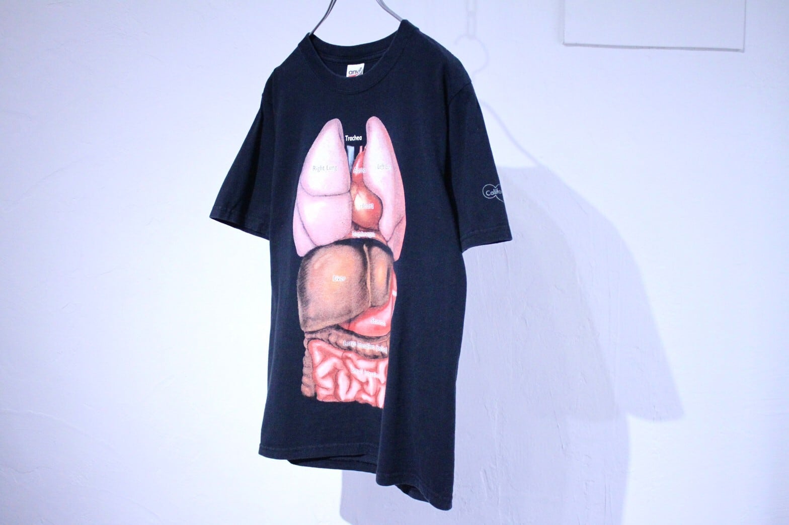 00s anvil アナトミカル　Tシャツ　内臓　臓器　シュプリーム 00s anvil 