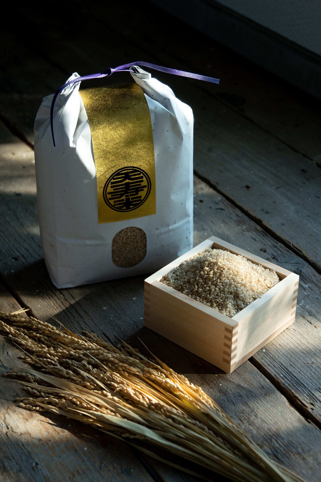 玄米 4.5kg 】天寿米 (栽培期間中 農薬化学肥料不使用) | PAY ID
