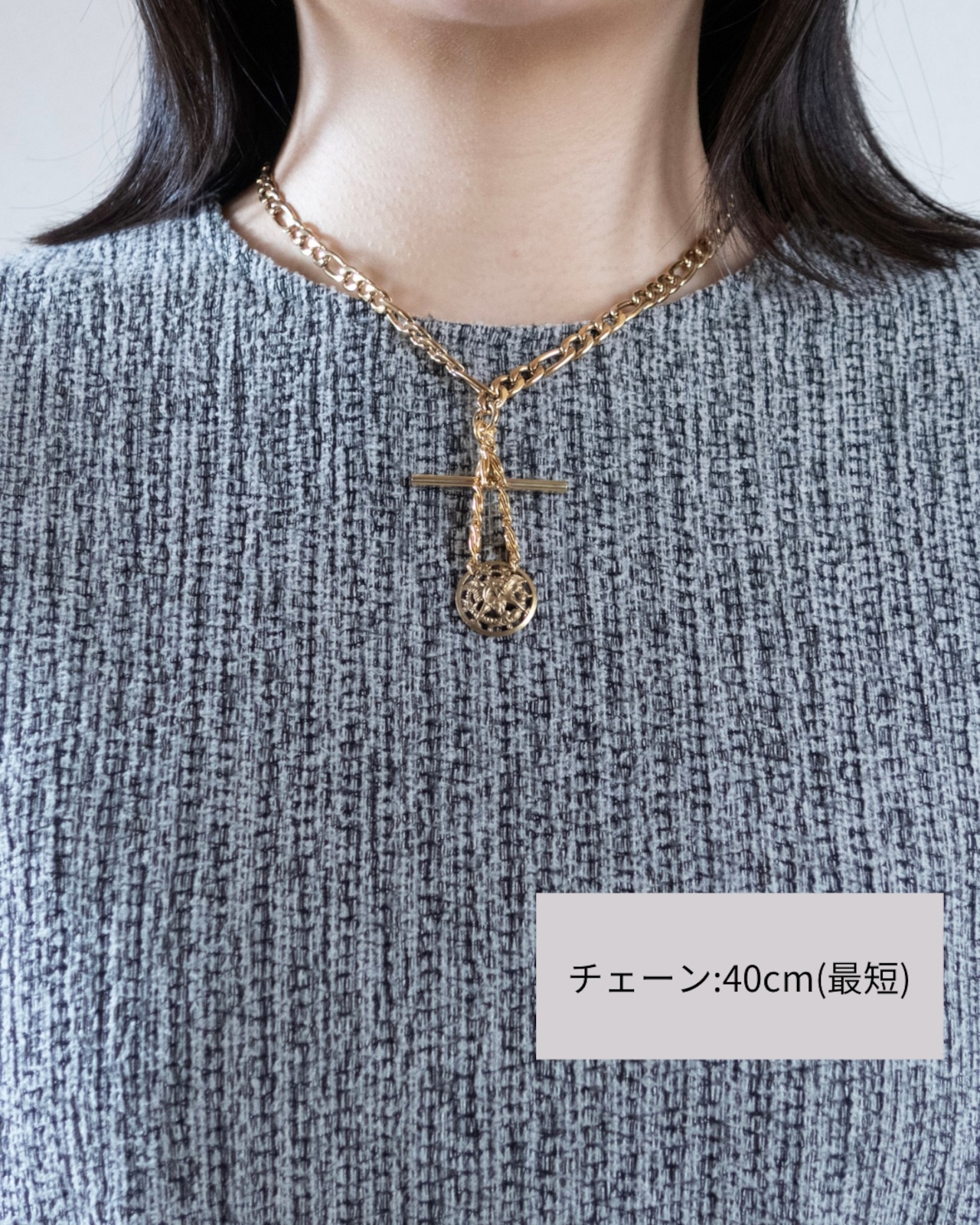 Storyteller -dolphin-