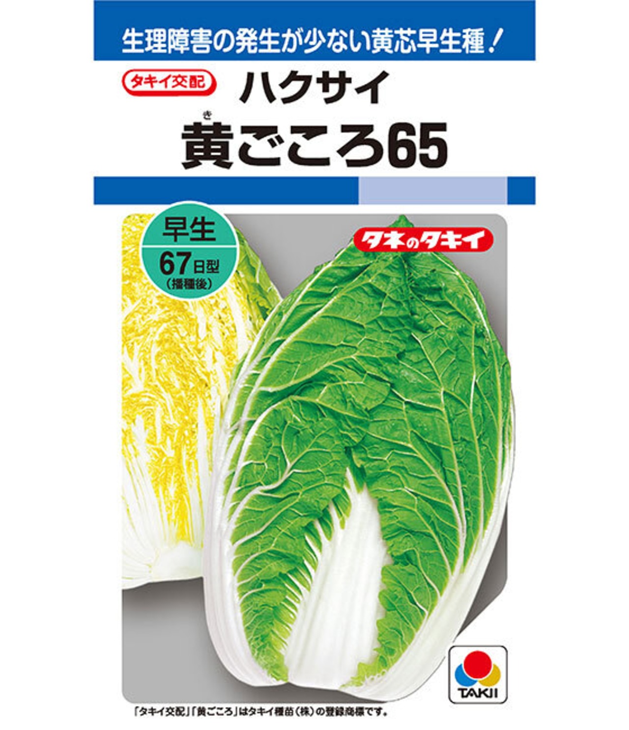 ハクサイ 「黄ごころ65」（5ml）・画像2