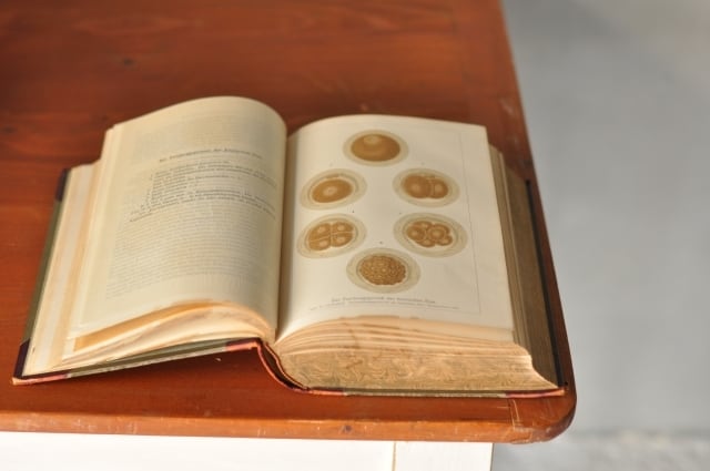 ドイツ医学書1911年 | landschapboek