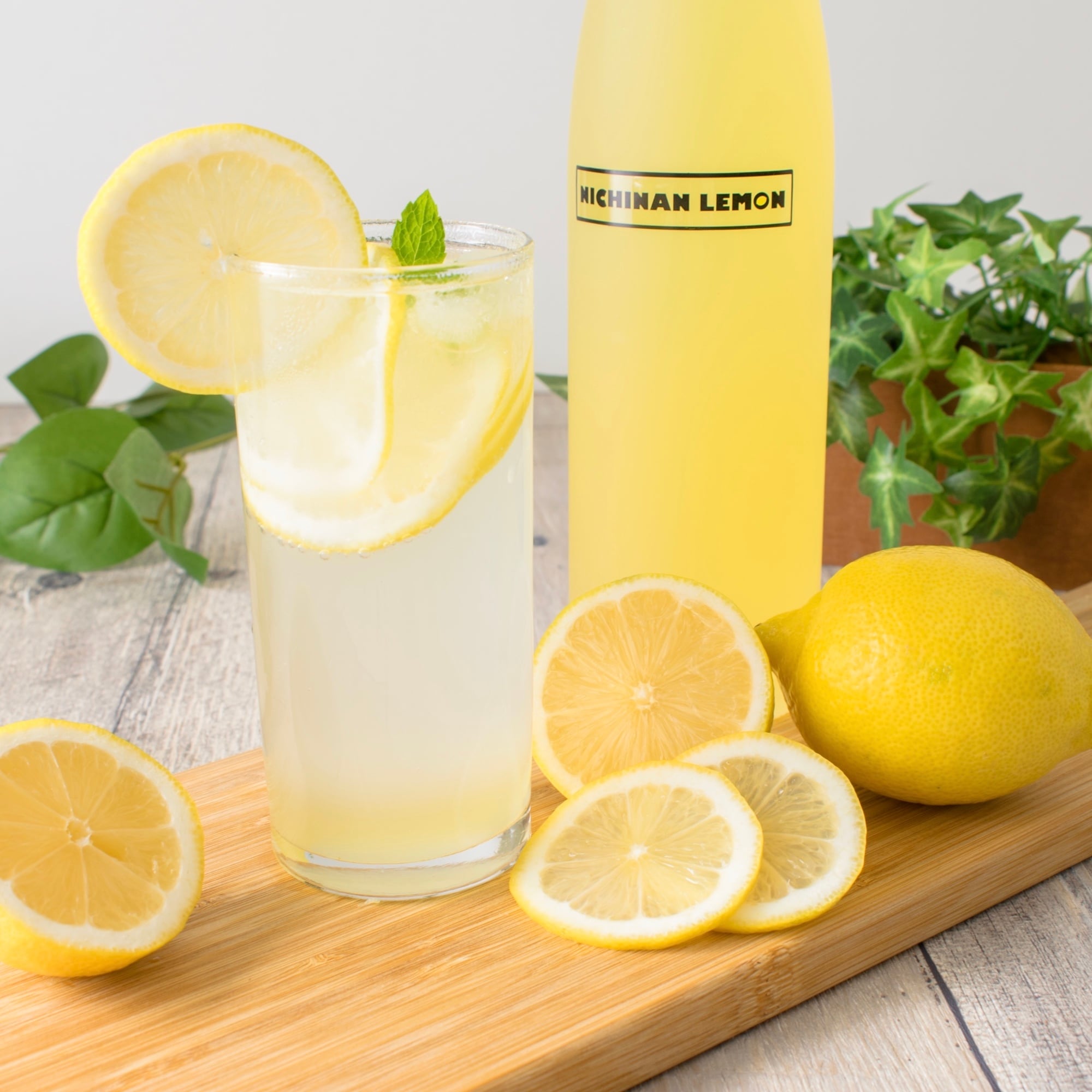 無添加 日南レモンシロップ500ml | SELD'OR