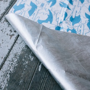 TAR(P)MENT / NICEDAY Groundsheet 晴天地布