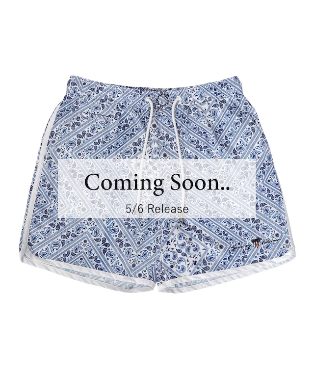 【SUNS】PAISLEY PATTERN BOARDSHORTS［RSW083］