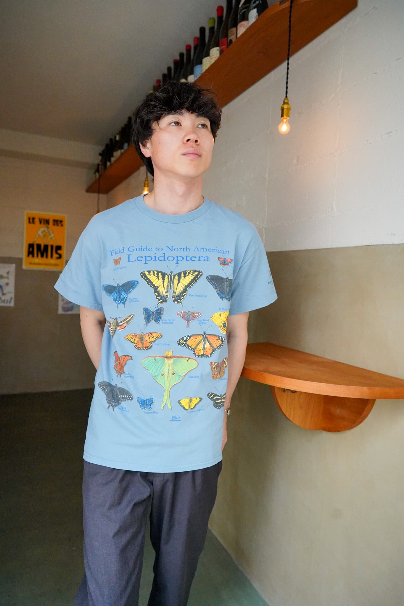 【1990s】"Animal T-shirts" Field Guide to North American Lepidoptera / 6-168