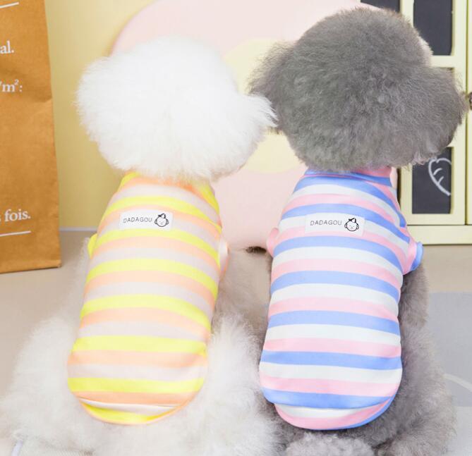 《予約》№1101822 ボーダートップス