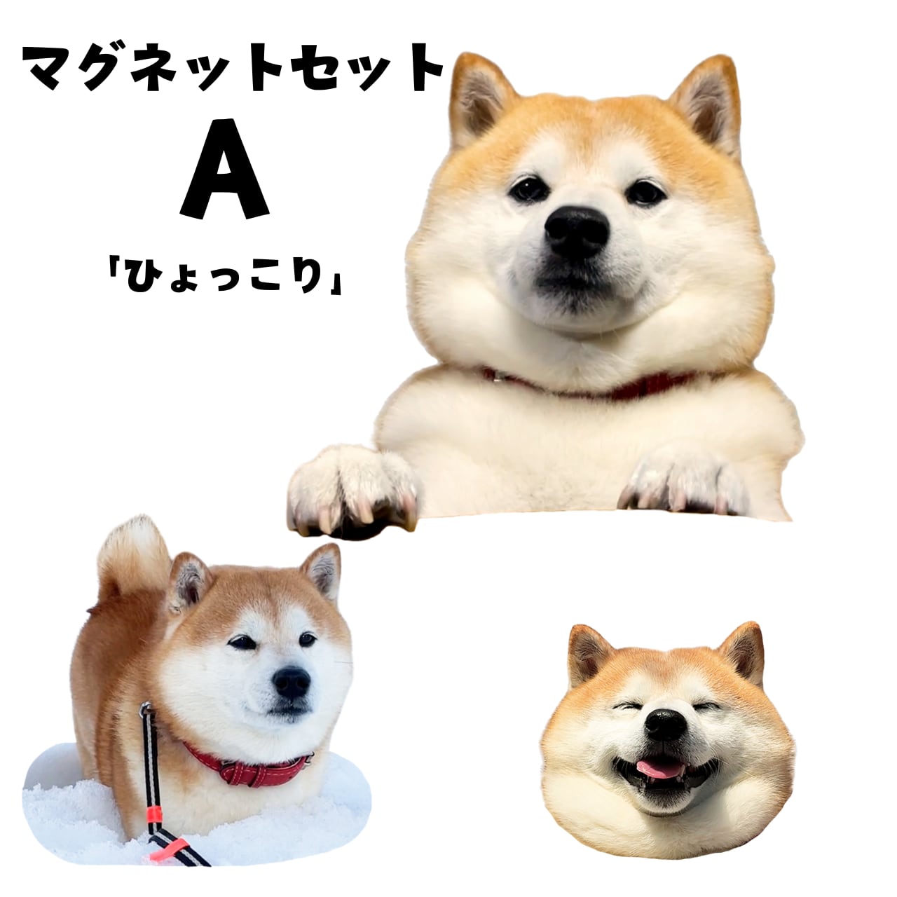 柴犬様専用⭐️ しば犬様専用 柴 様 専用 シバいぬ 様 専用