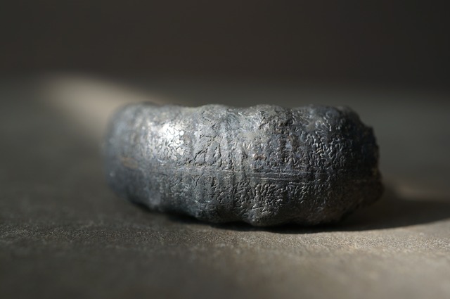 イギリス産黄鉄鉱化アンモナイト  Pyritized Ammonite 2315