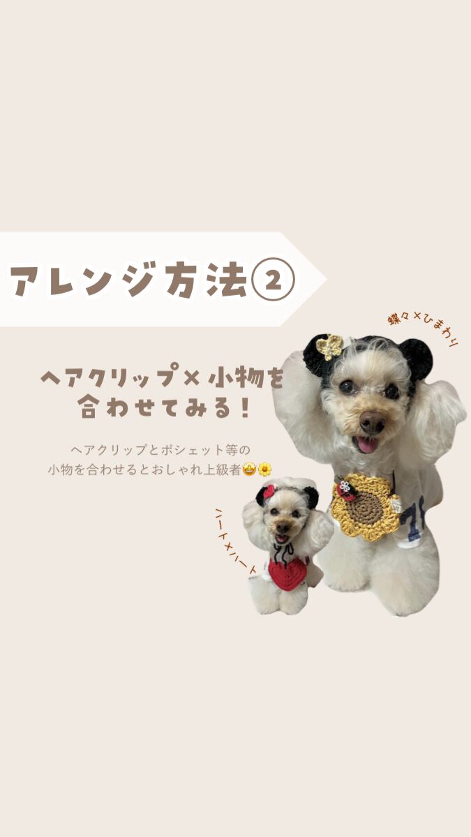 【即納】Bear band