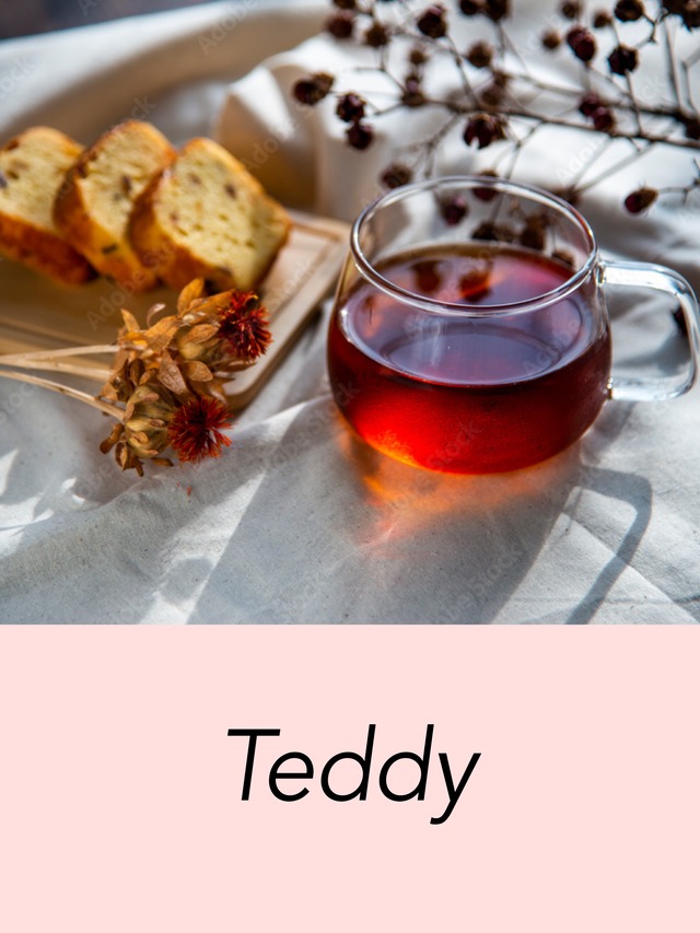 Teddy 100g缶