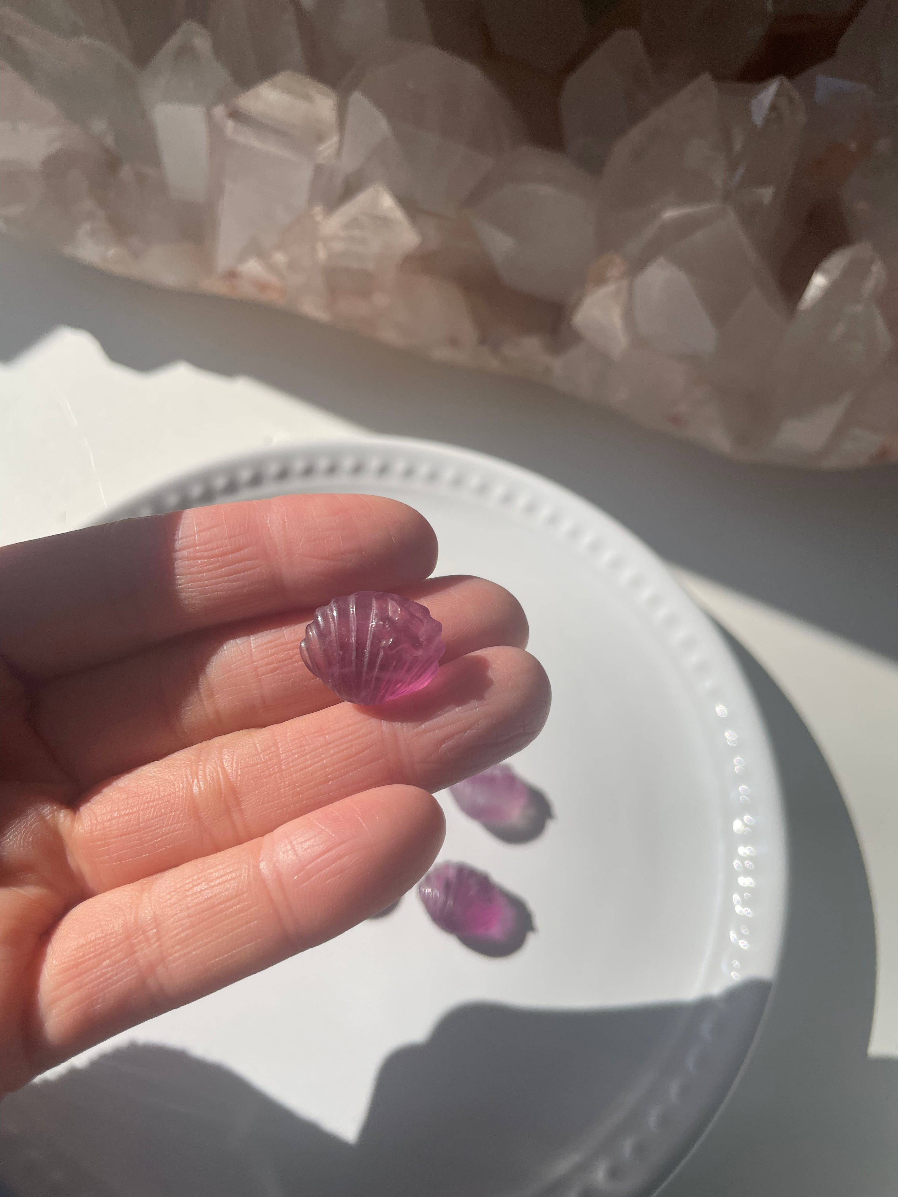 Fluorite Shell / フローライト　貝