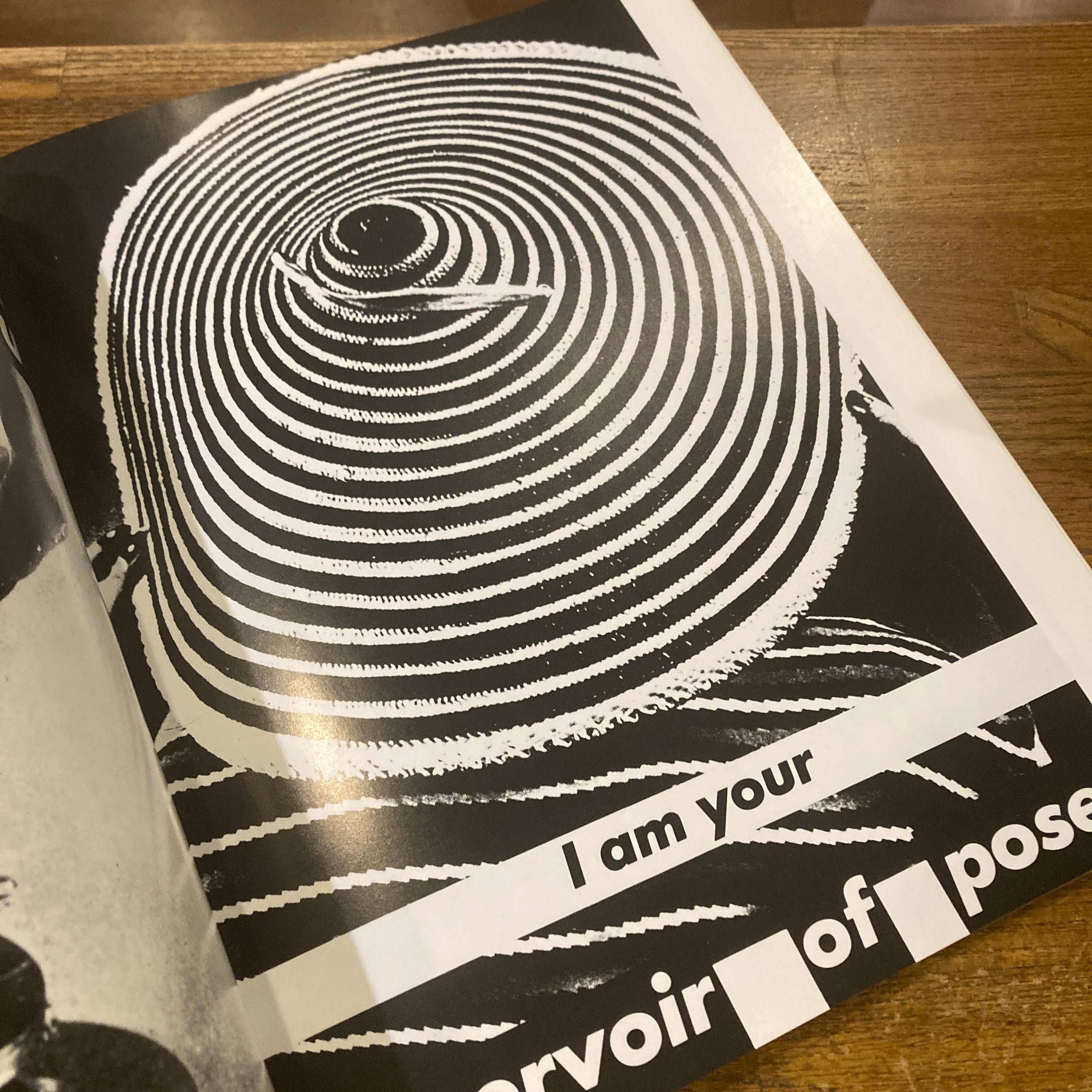 Love for sale: The Words and Pictures of Barbara Kruger / text