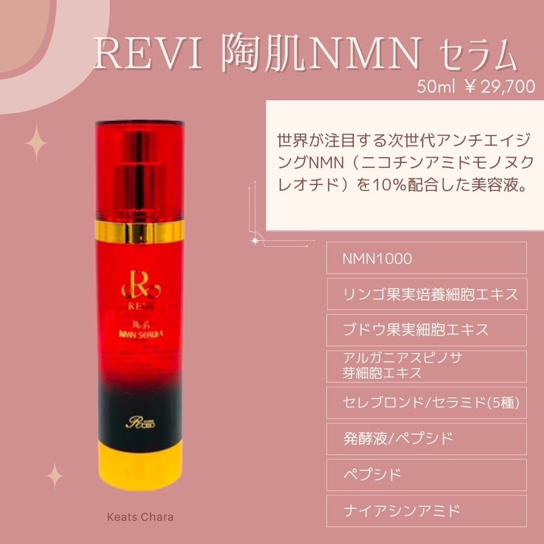 REVI ルヴィ 陶肌NMNセラム 100ml ¥29,700 - pakalanainn.com