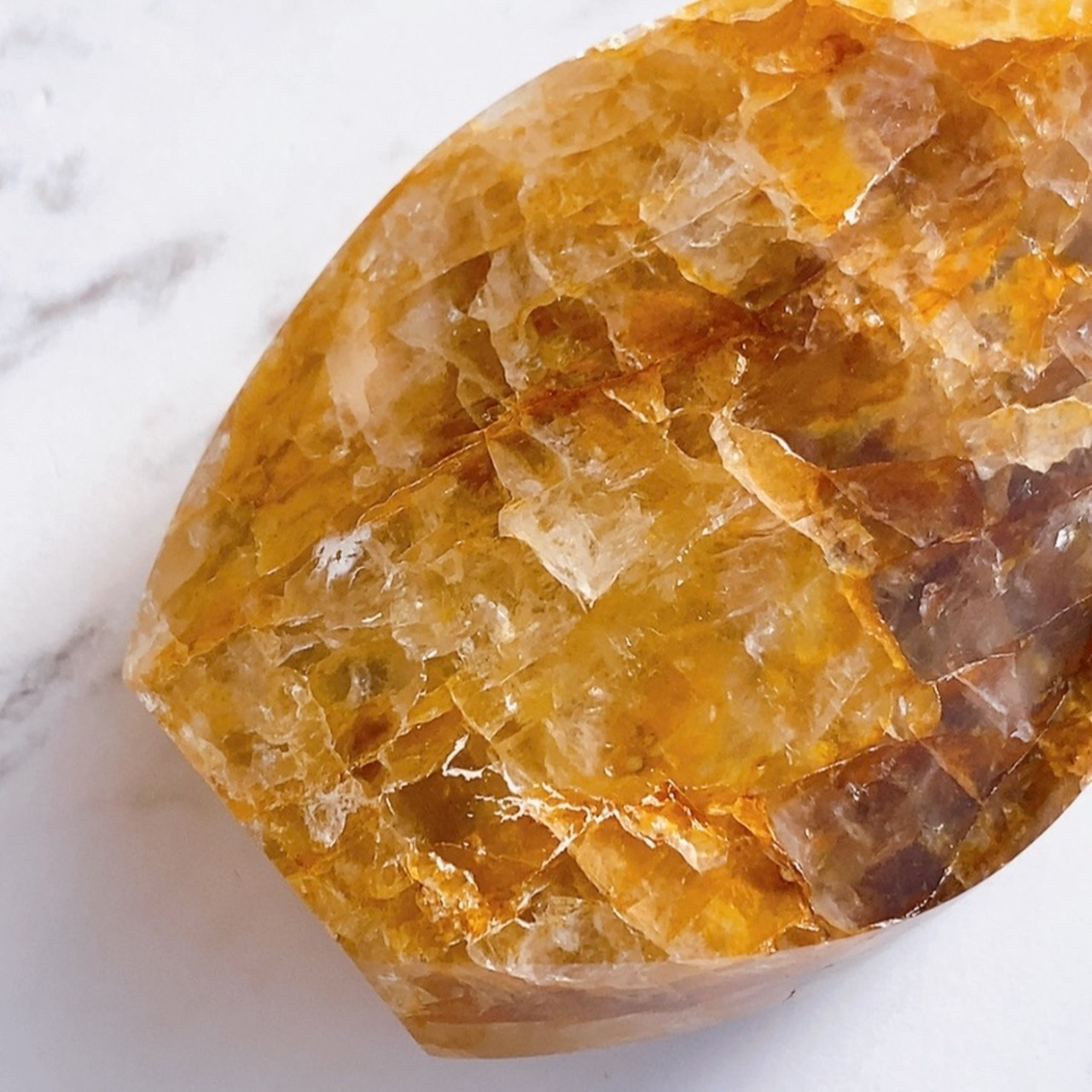 ゴールデンヒーラー フレイム01*ブラジル産