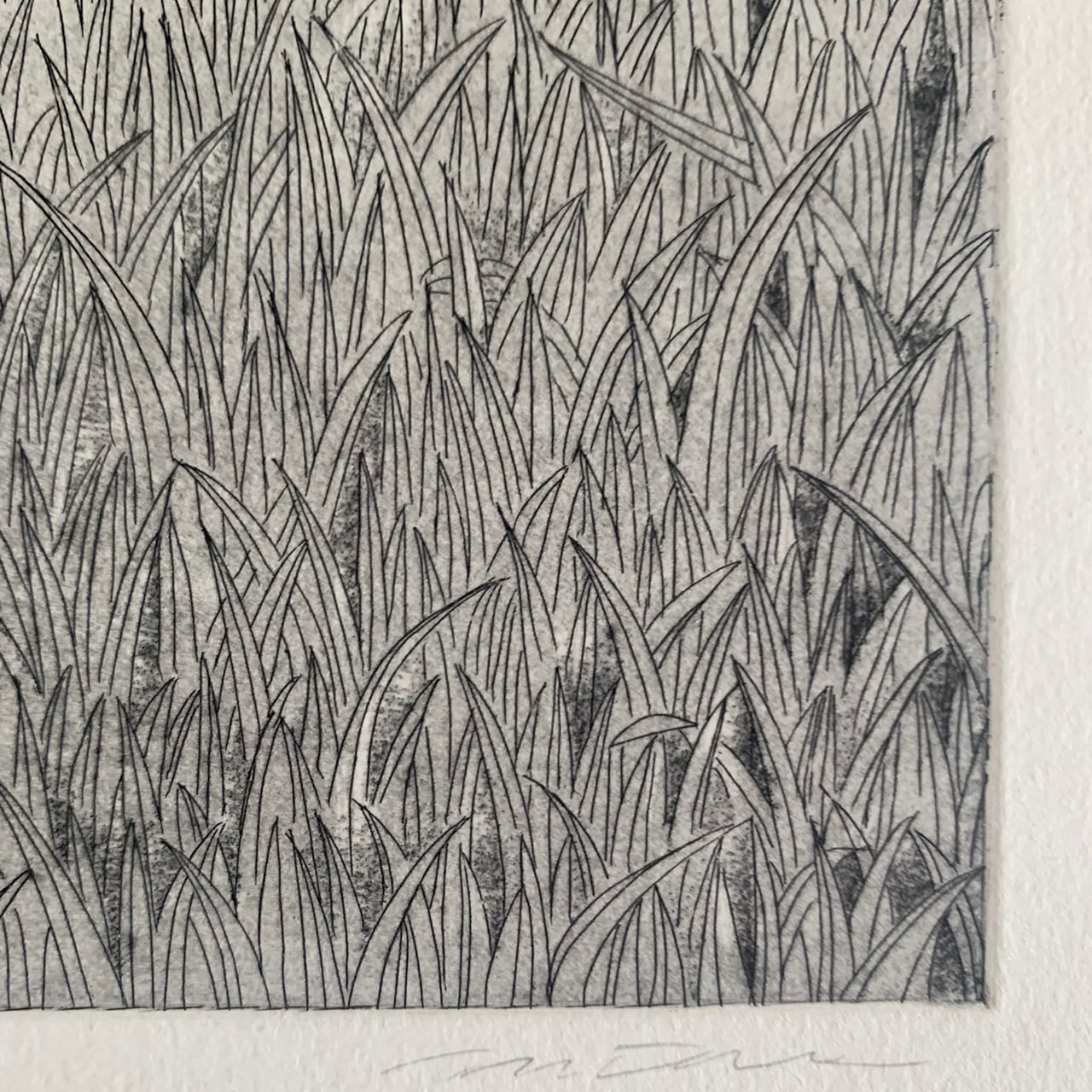 銅版画シート 草原のうさぎ | ラリーキルト、トライバルラグ、キリム