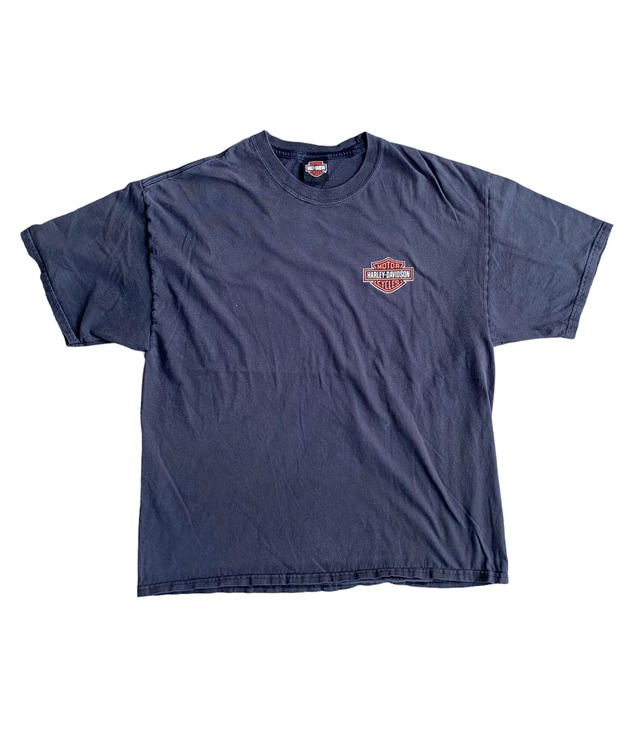 Vintage 00s XL HARLEY DAVIDSON T-Shirt -TEXAS- | BEGGARS BANQUET 