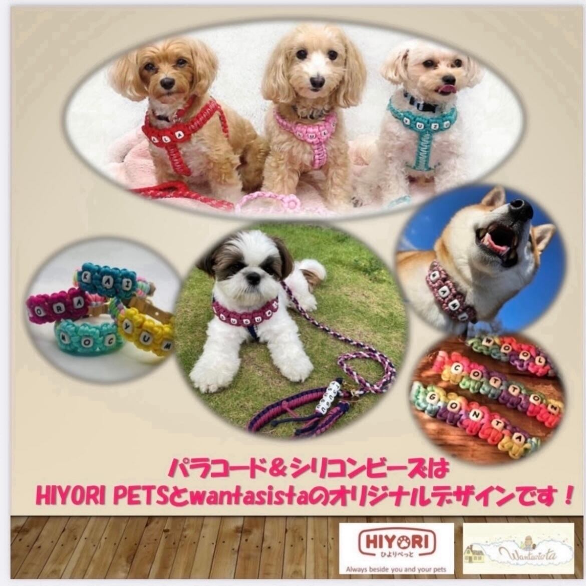 リードからはずれるのを予防するパラコードパーツ　ひより IMGP3240.JPG