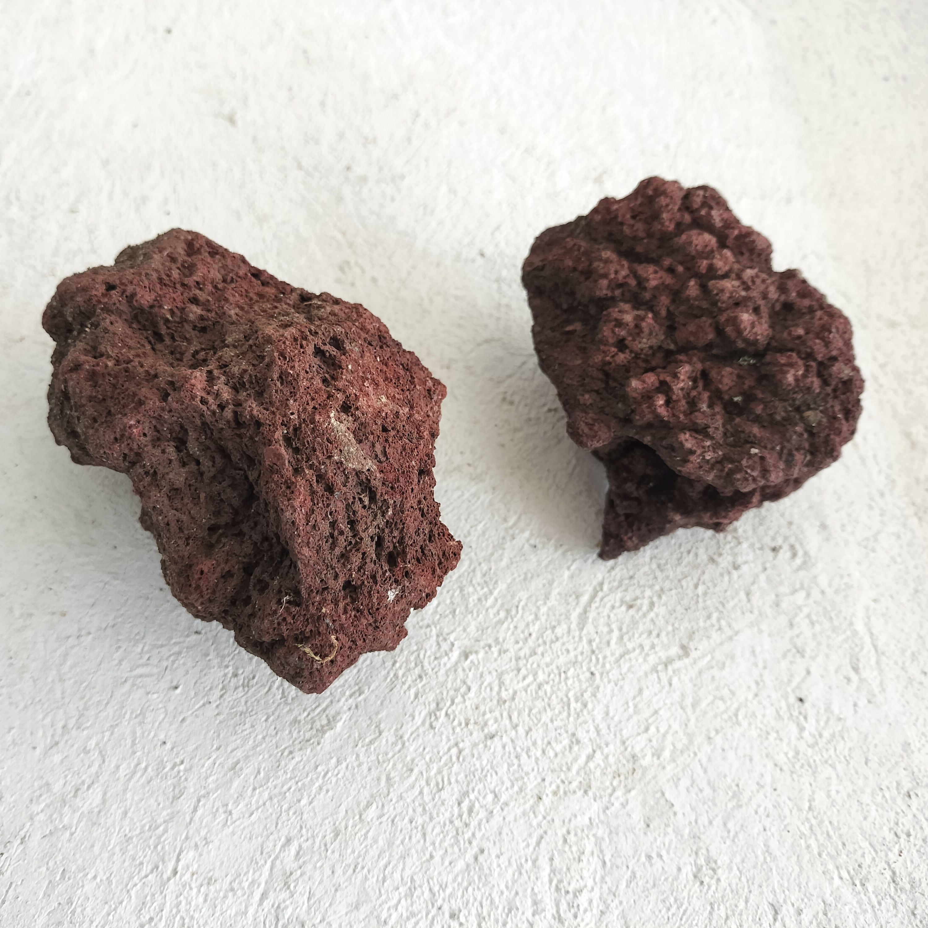 赤色溶岩石 Lサイズ2個入り【レイアウト用・着生用】 | 苔テラリウム