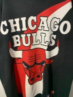 90's PRO LAYER NBA BULLS T-Shirt Made in USA【XL】