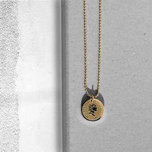 stainless coin necklace #N15