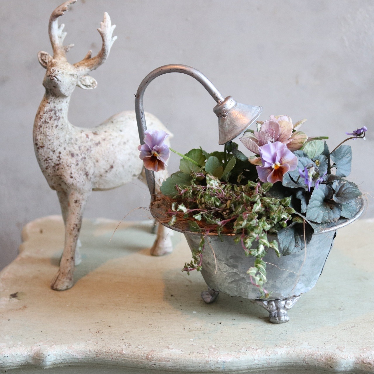 冬から春に楽しむ寄せ植え　和モダンビオラとシックなハボタンとバスタブの寄せ植え　届いてすぐ玄関に飾れる 　プレゼントにもオススメ　