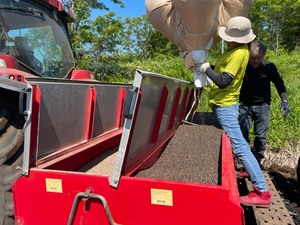 【冷凍】生そば食べ比べセット（4人前）二八そば2食分・中標津町ご当地そば【プレミアム牛乳で打った『夢見そば）2食分』そばつゆ付】