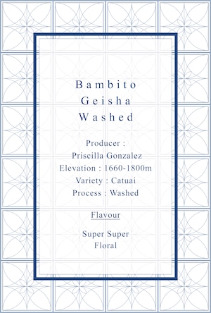 Bambito Geisha Washed