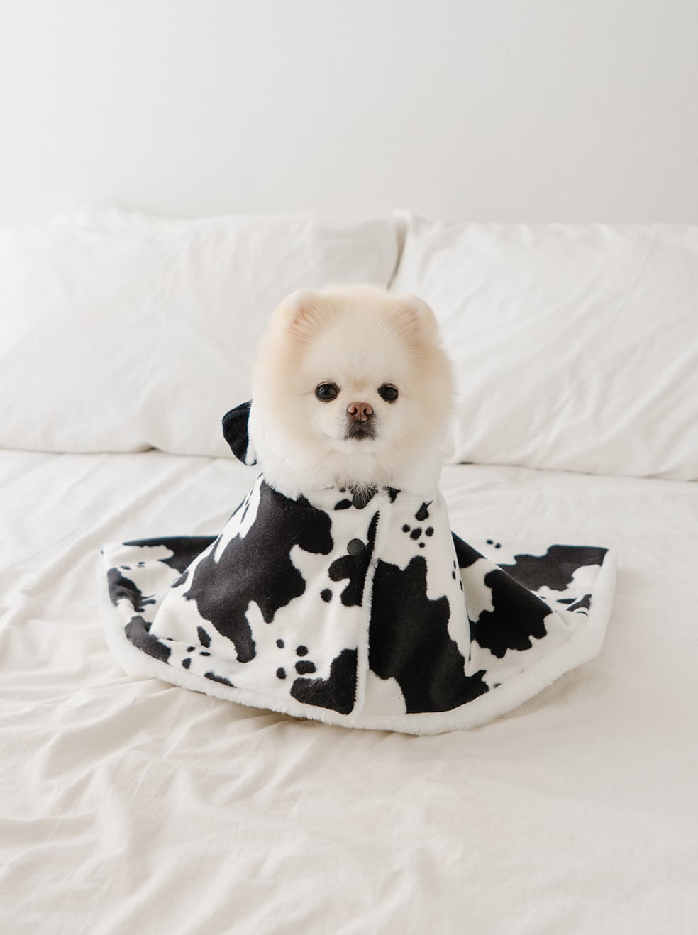 Ssize/予約【noutti】Caw Cape Blanket