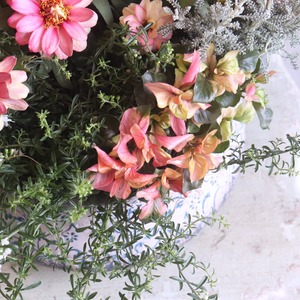 ジニアトロピカーナのクラシカルなポットの寄せ植え　｜届いてすぐ飾れる品｜玄関にオススメ｜新築・開店祝いギフト｜モンディマンシェ