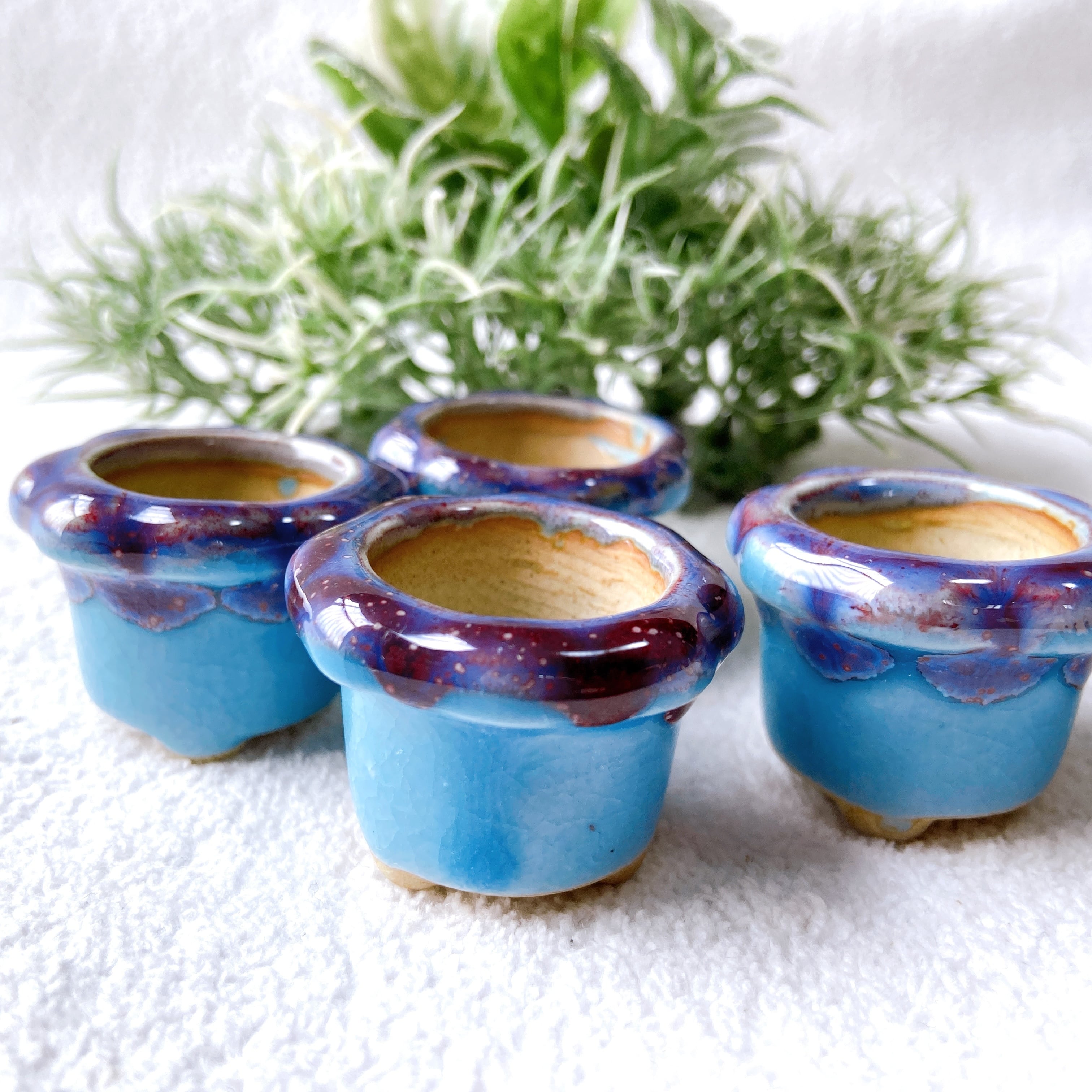 水色のミニチュア陶器植木鉢 4点セット】シンプルな形で植物がかわいく