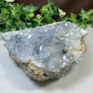 7.空色セレスタイトに住み着いているフローライトハリネズミさん