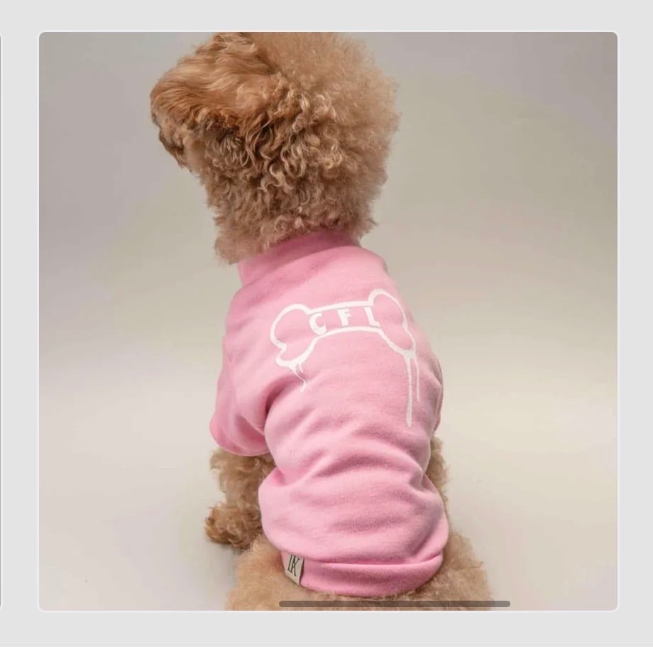 【Canis Familiaris Laboratory】Tシャツ