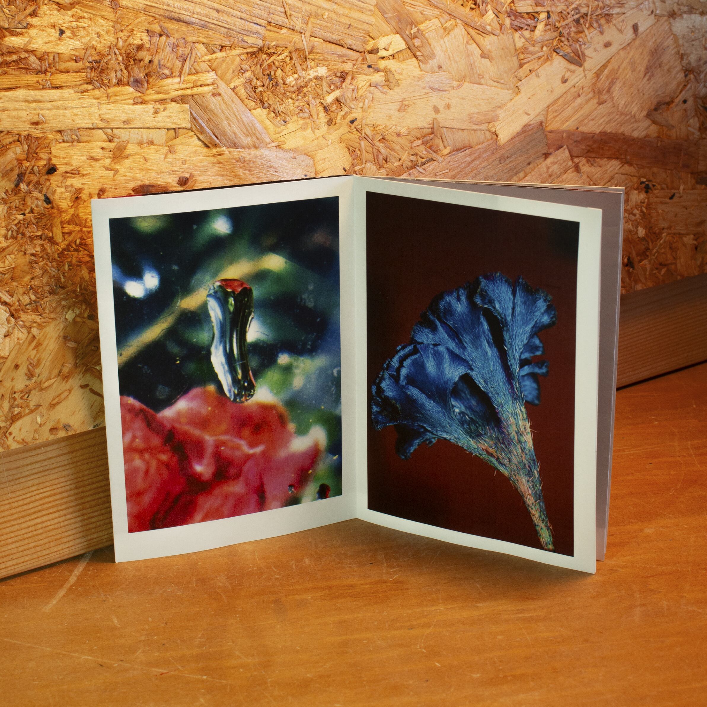 アート・デザイン・音楽 [ zine ] FLOCK vol.1 zine ] FLOCK vol.1