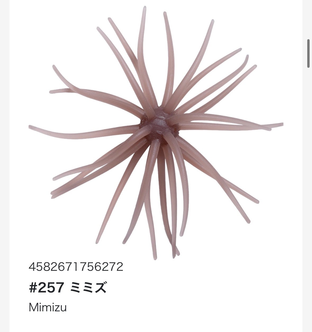 旧コイケソフトマテリアル/HIDEUP | TRIBE NETSTORE