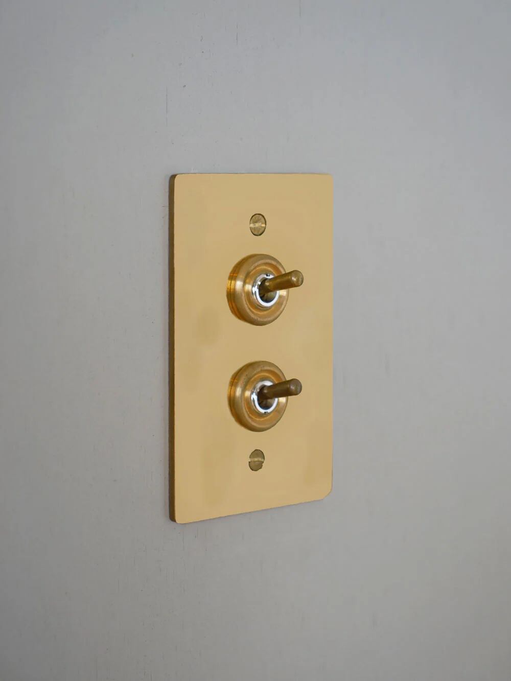 真鍮プレート2スイッチ #800 E12 HS2336