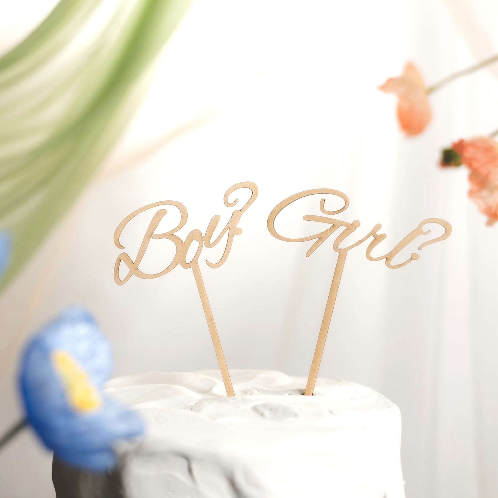 ジェンダーリビール Boy? Girl? ケーキトッパー｜Ray Woodmade