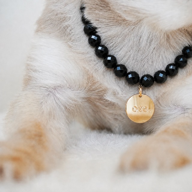 Black Charm Necklace