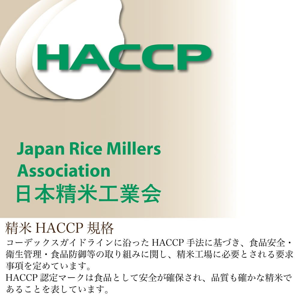 無洗米 岐阜県産ハツシモ 5kg 精米済 【令和5年産】