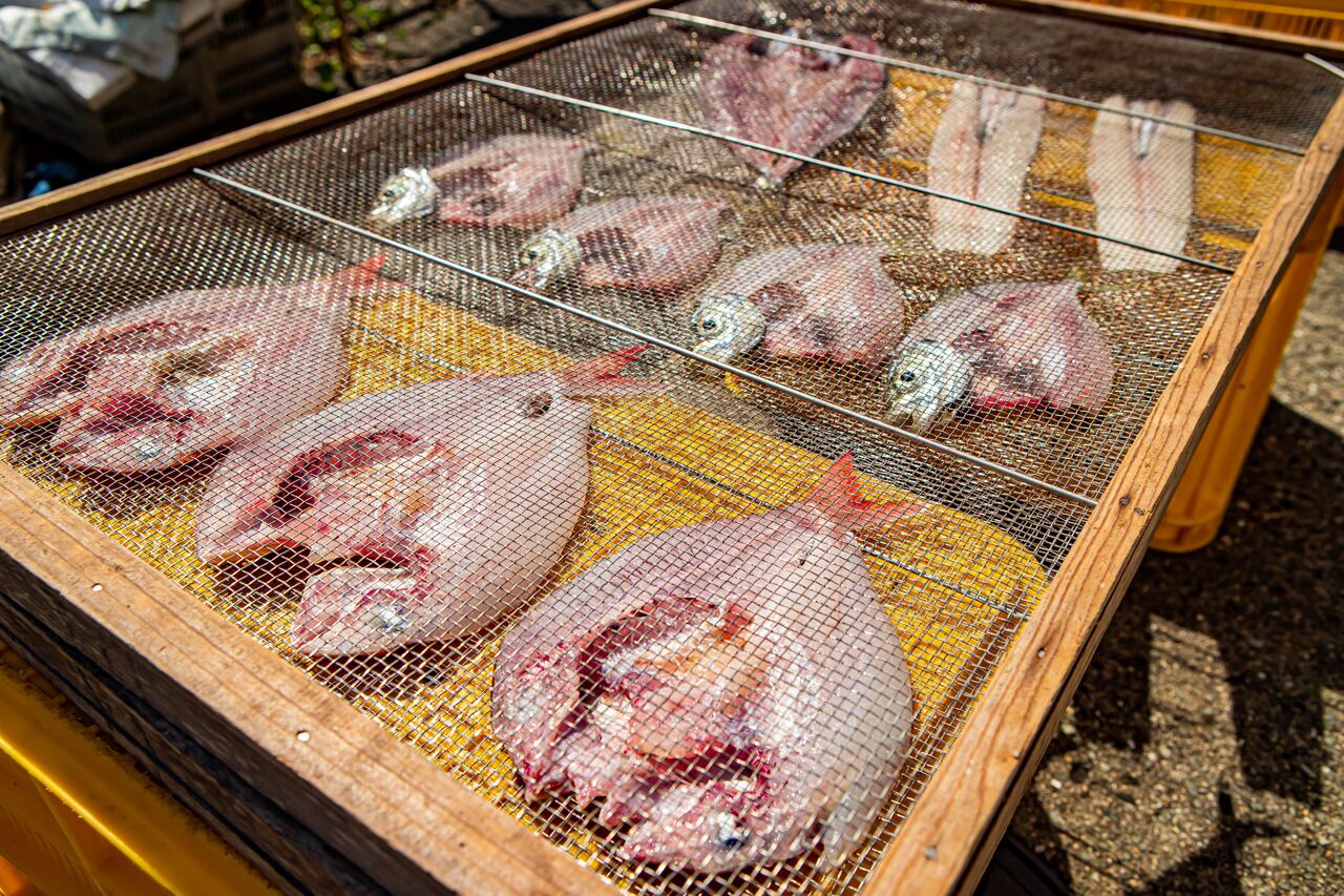 加太産の真鯛と季節の魚の天日干しセット 5,000円 | 和歌山 加太丸