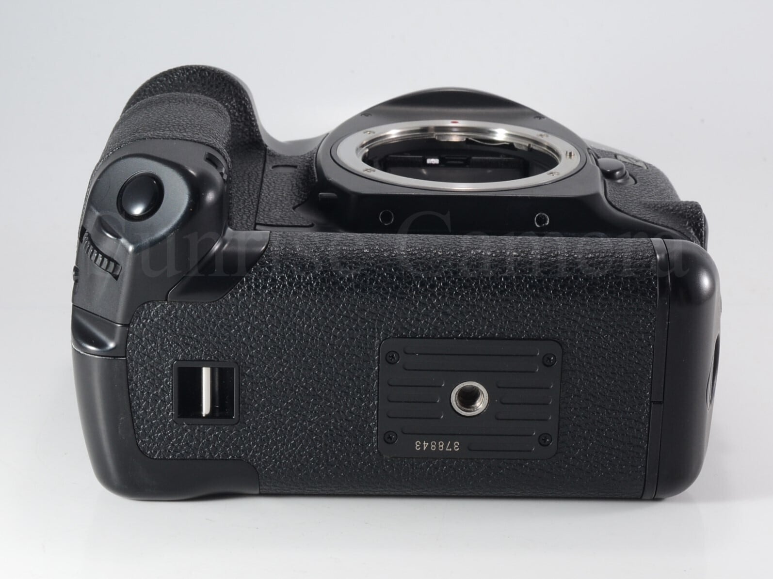 Canon EOS-1V ボディ キヤノン（61639） | サンライズカメラ フィルム