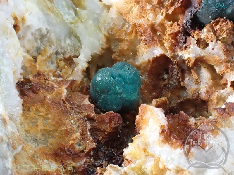 シュードマラカイト（擬孔雀石） | つぐこみねらるず ｜鉱物・原石